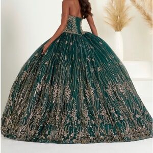 Quinceanera/Sweet 16/ Prom Dress